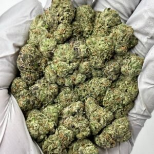 Runtz THCa Flower – Exotic Candy-Flavored Cannabis Buds in Bulk Packaging