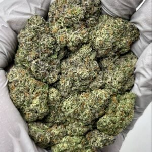 Sherbert THCa Flower – Sweet Hybrid Cannabis Buds in Bulk Packaging