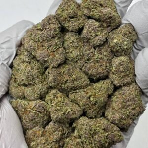 Tropicana Cherries THCa Flower Wholesale Bulk Cannabis Buds