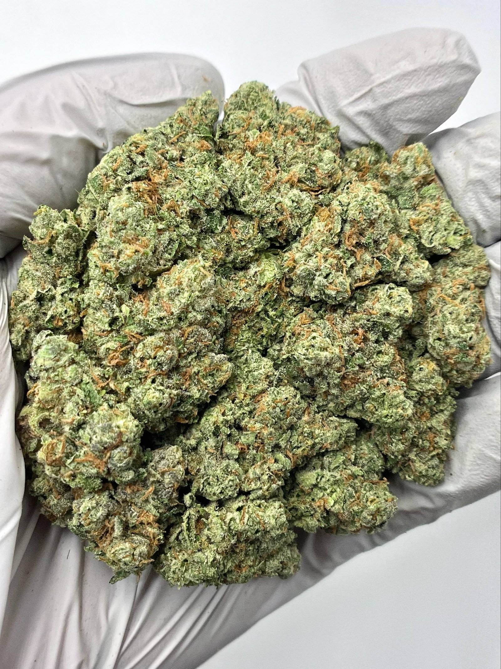 White Runtz THCa Flower – Frosty Exotic Hybrid Cannabis Buds in Bulk Packaging