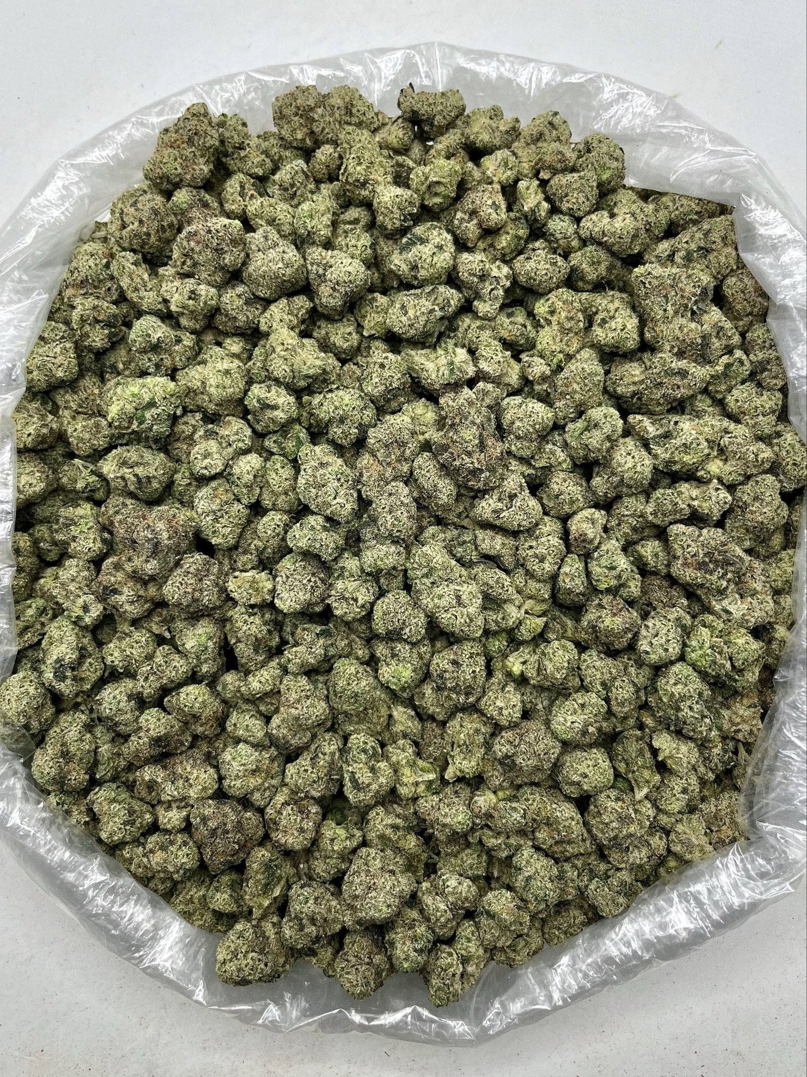 Bulk Candy Crave THCa Flower packaged for wholesale distribution