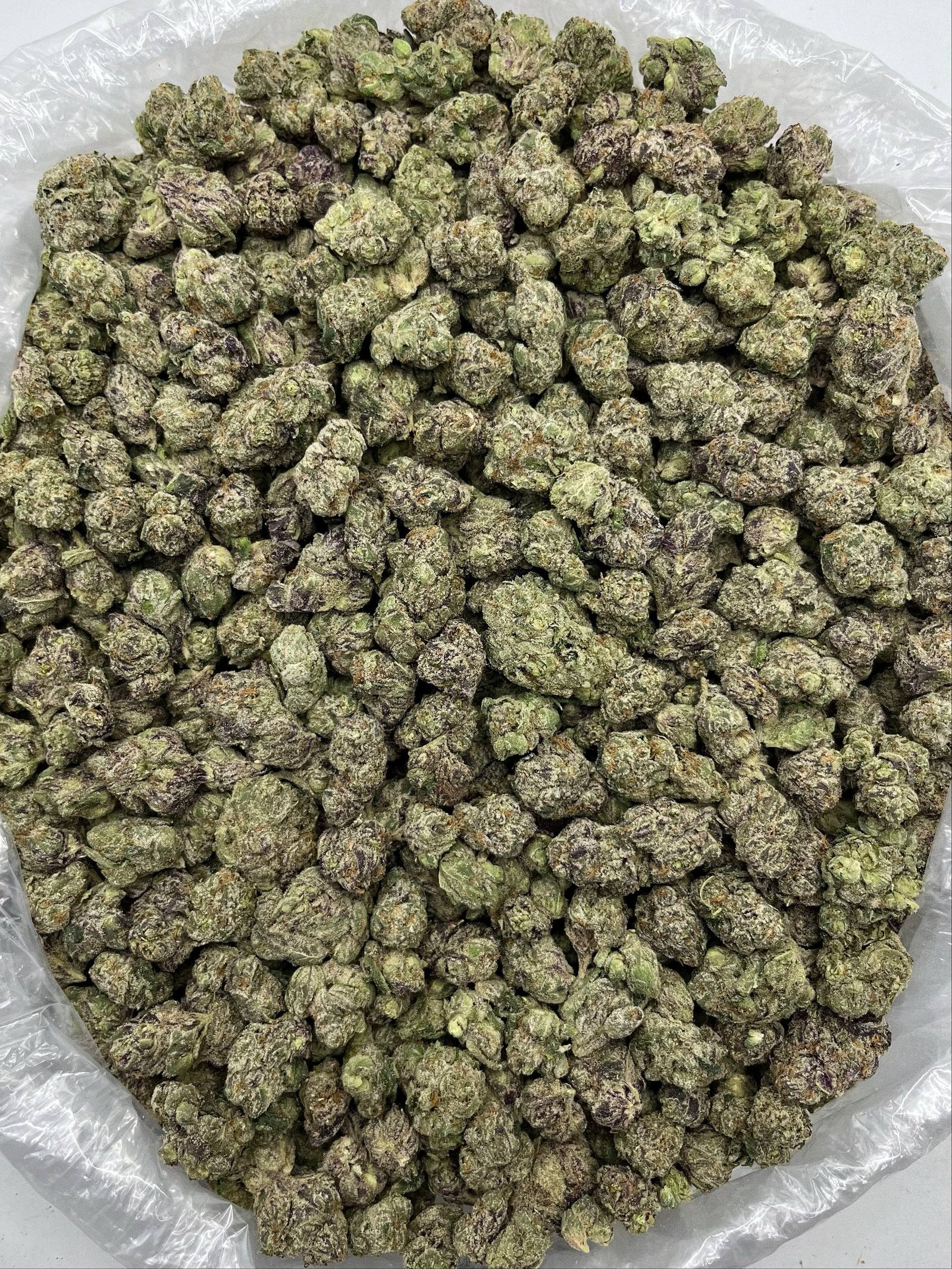 Bulk Candy Rain THCa Flower packaged for wholesale transit in large sealed bags