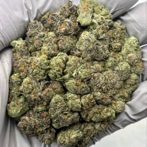 Bulk Hella Jelly THCa flower buds with dense neon‑green nuggets, orange hairs, and frosty trichomes in wholesale packaging.