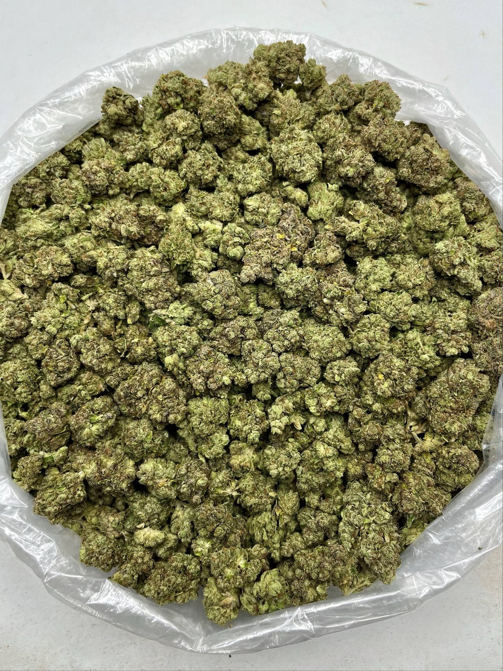 Bulk sacks of Cherry Poppers THCa Flower ready for wholesale distribution