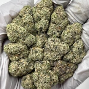 Candy Crave THCa Flower dense buds with trichomes and candy aromas