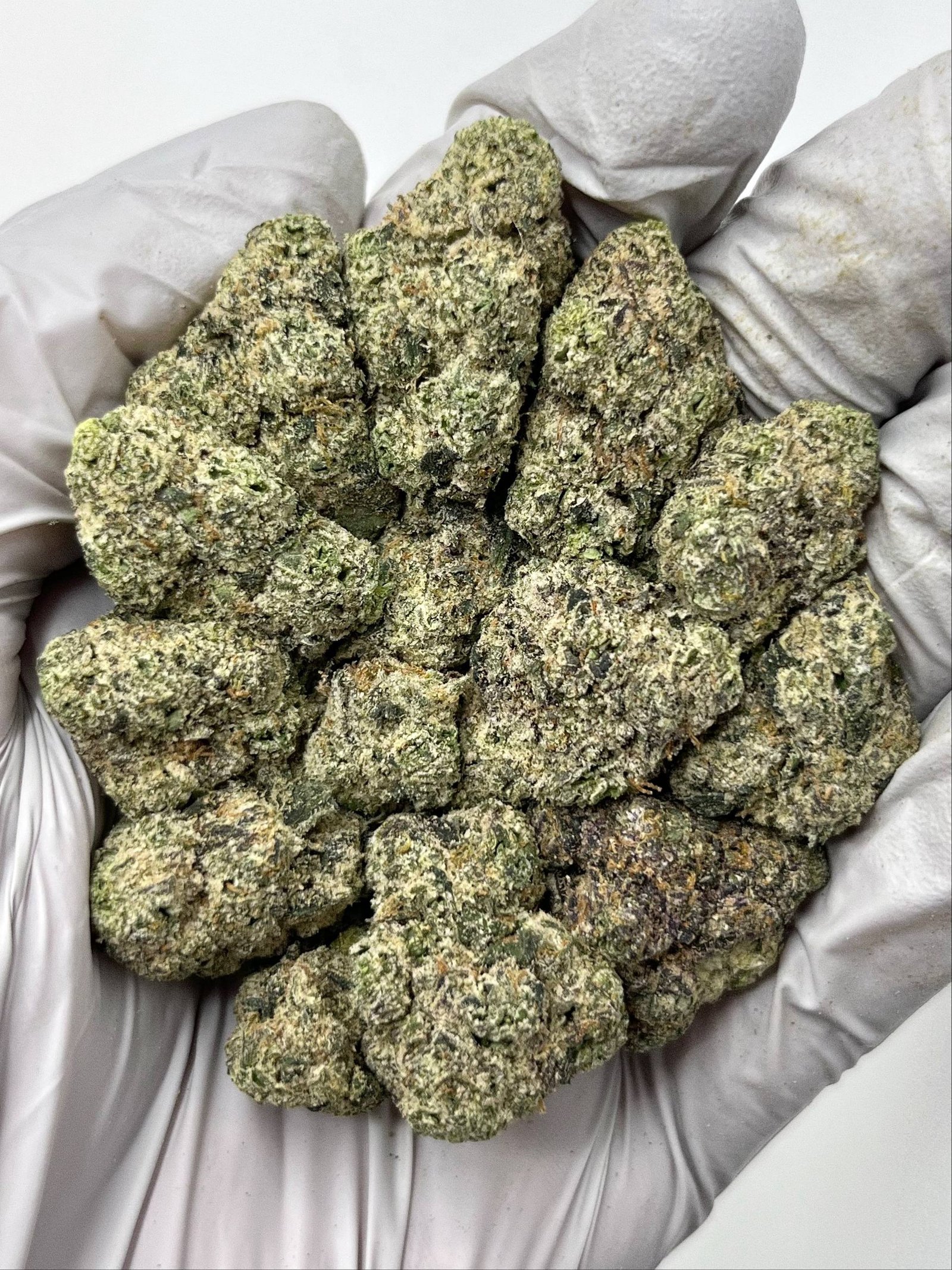 Candy Crave THCa Flower dense buds with trichomes and candy aromas