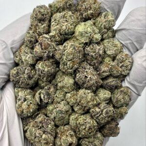 Candy Rain THCa Flower dense buds with candy‑sweet trichomes under soft light