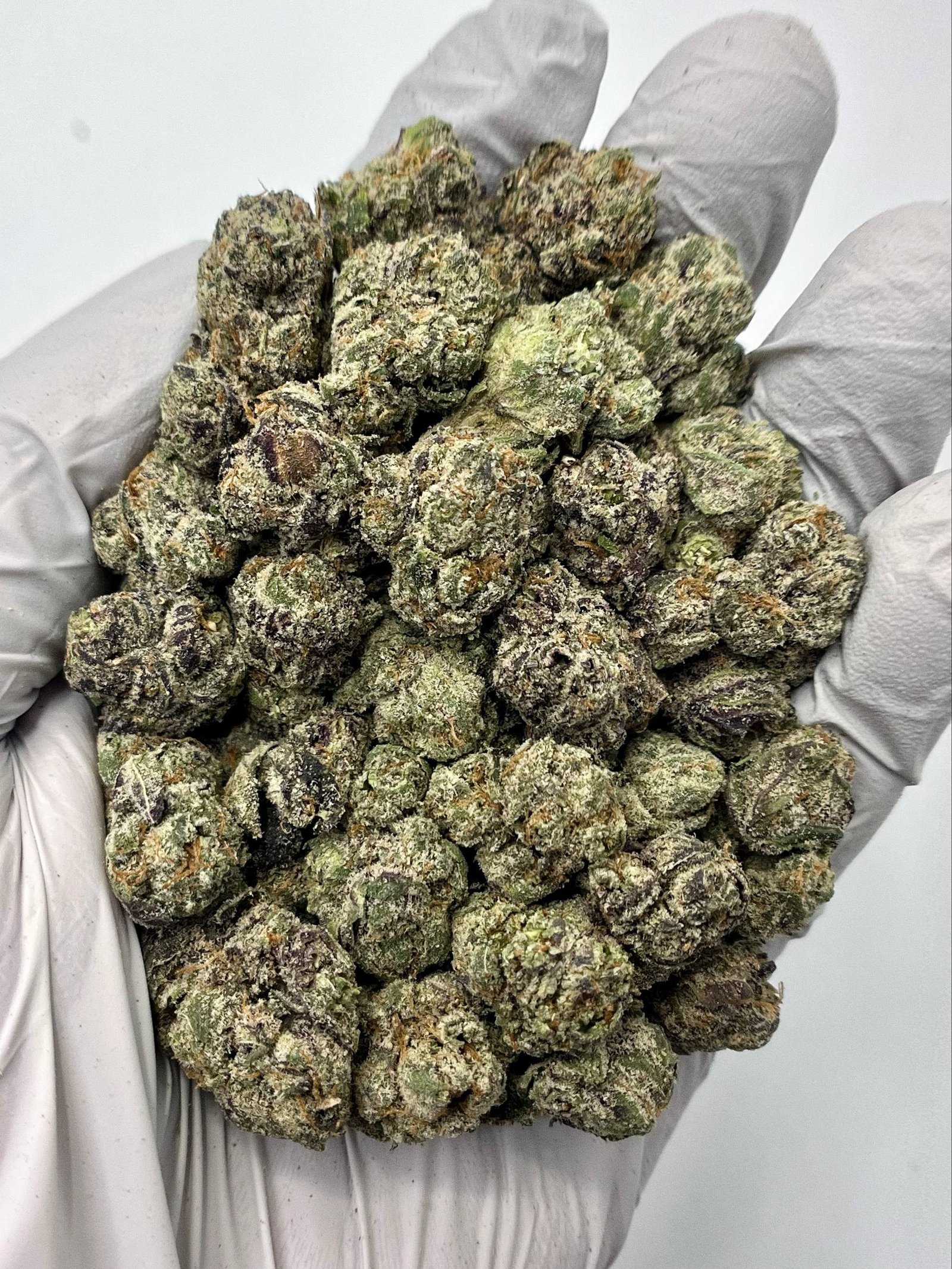 Candy Rain THCa Flower dense buds with candy‑sweet trichomes under soft light