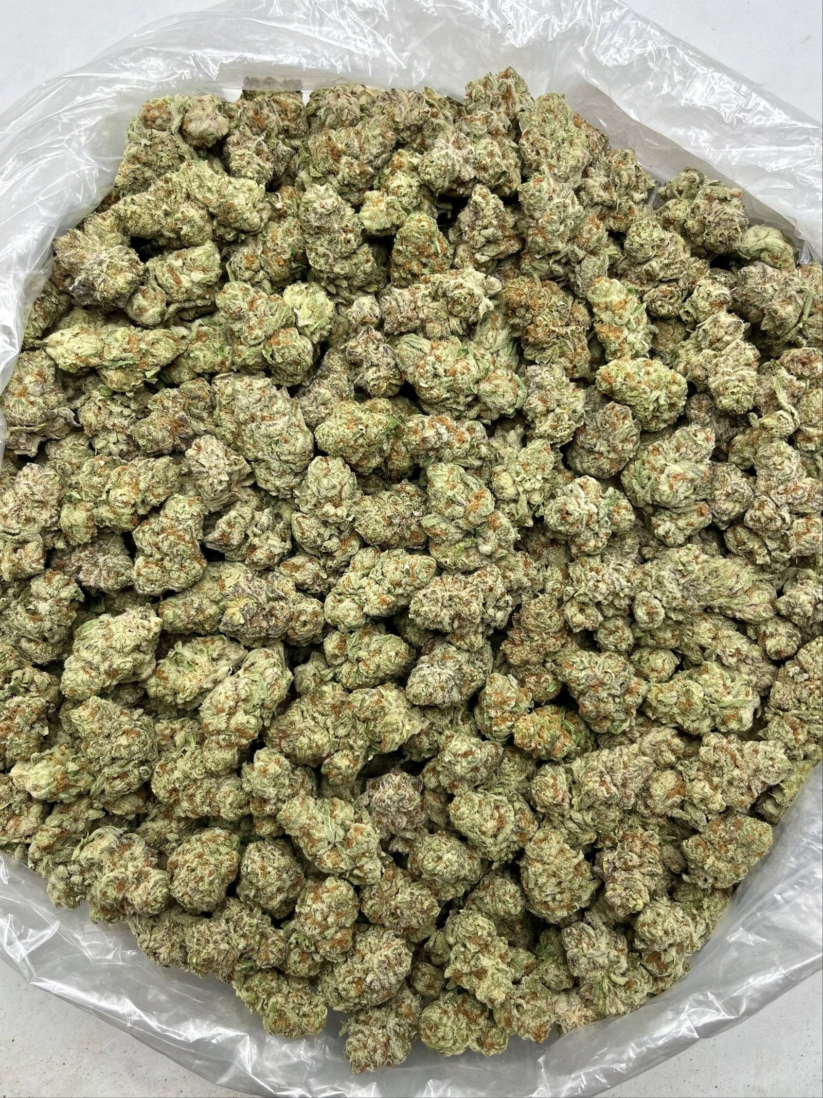Close-up of Purple Gusher THCa buds in wholesale packaging, showcasing sticky frosty trichomes and vibrant exotic coloration.