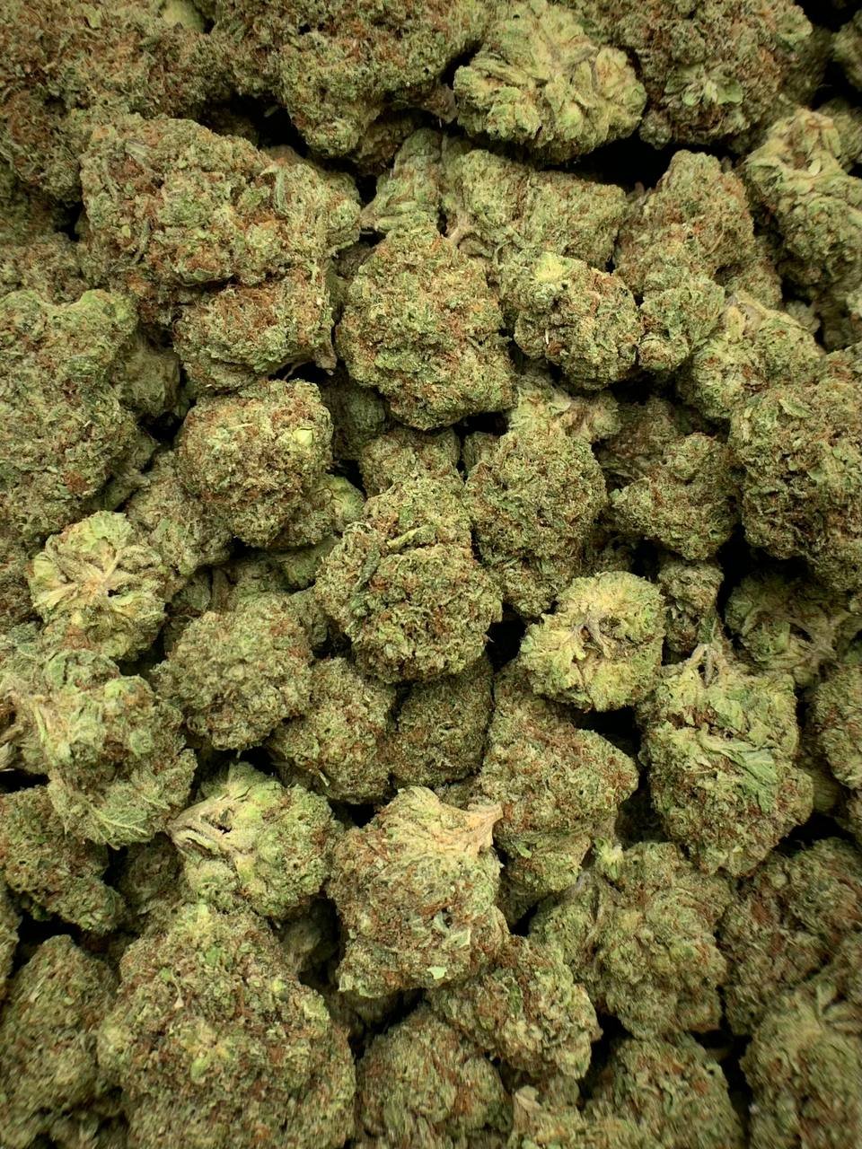 Large quantity London Pound Cake THCa Flower packaged for wholesale