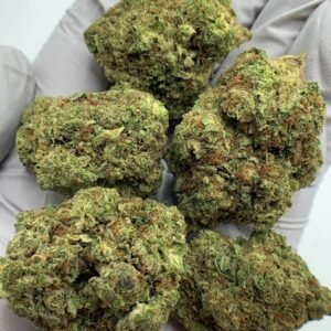 London Pound Cake THCa Flower buds with creamy vanilla and lemon hues
