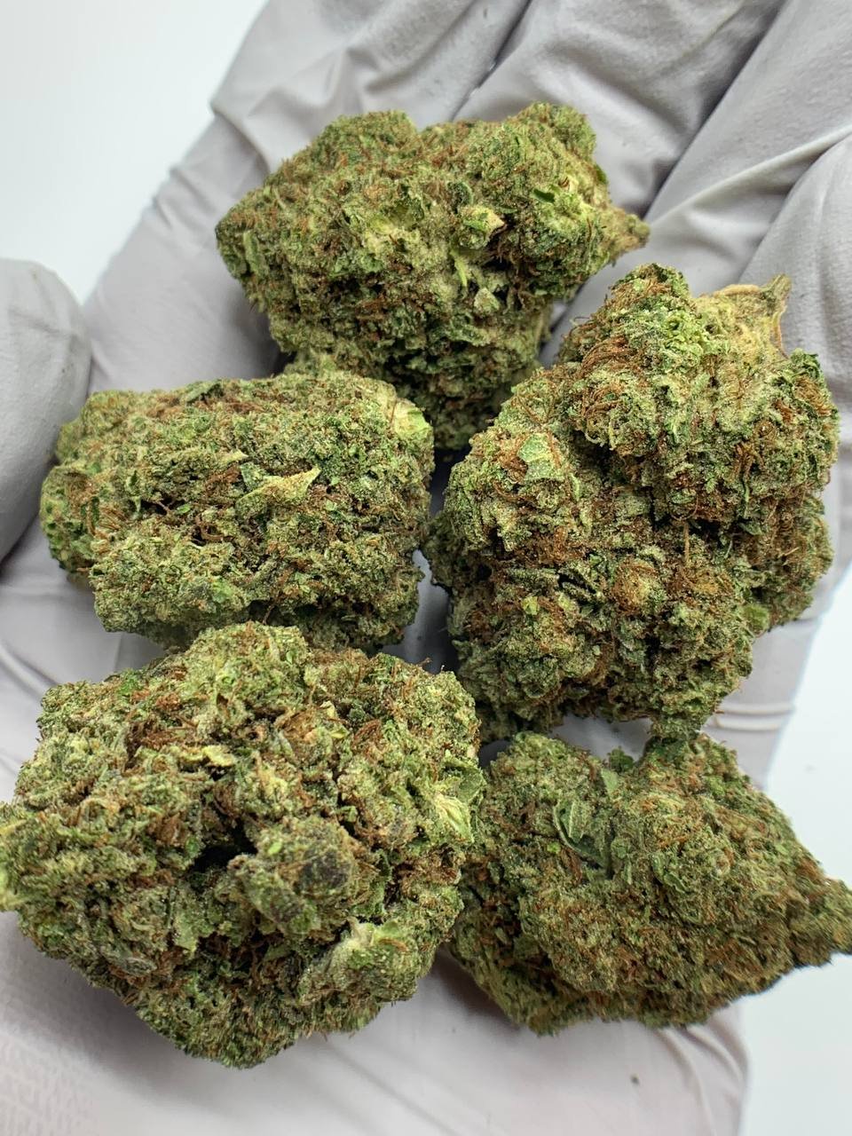 London Pound Cake THCa Flower buds with creamy vanilla and lemon hues