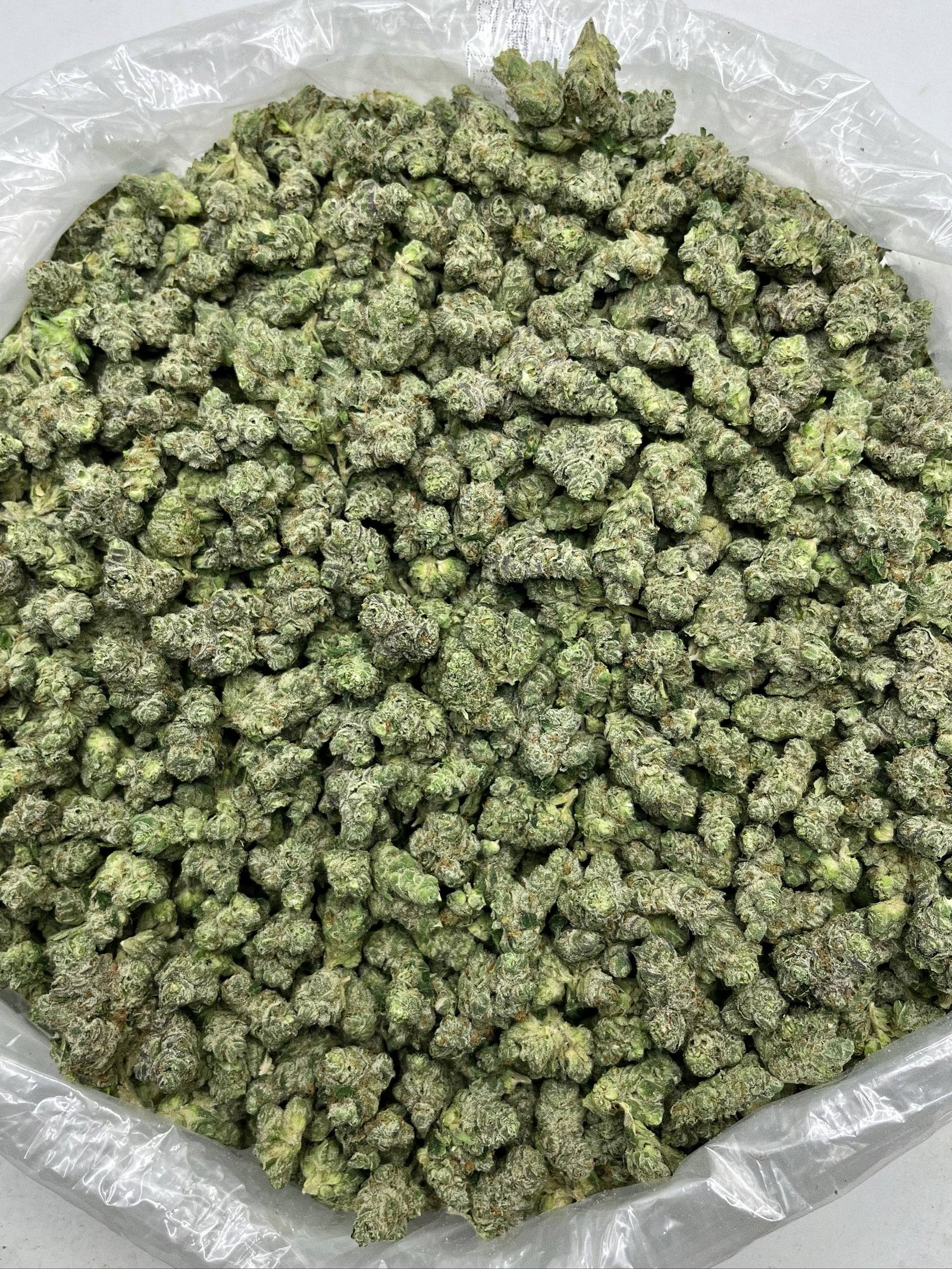 Premium bulk THCa flower from Cookies N Cream strain, lab-tested and Farm Bill compliant, displayed in airtight wholesale containers.