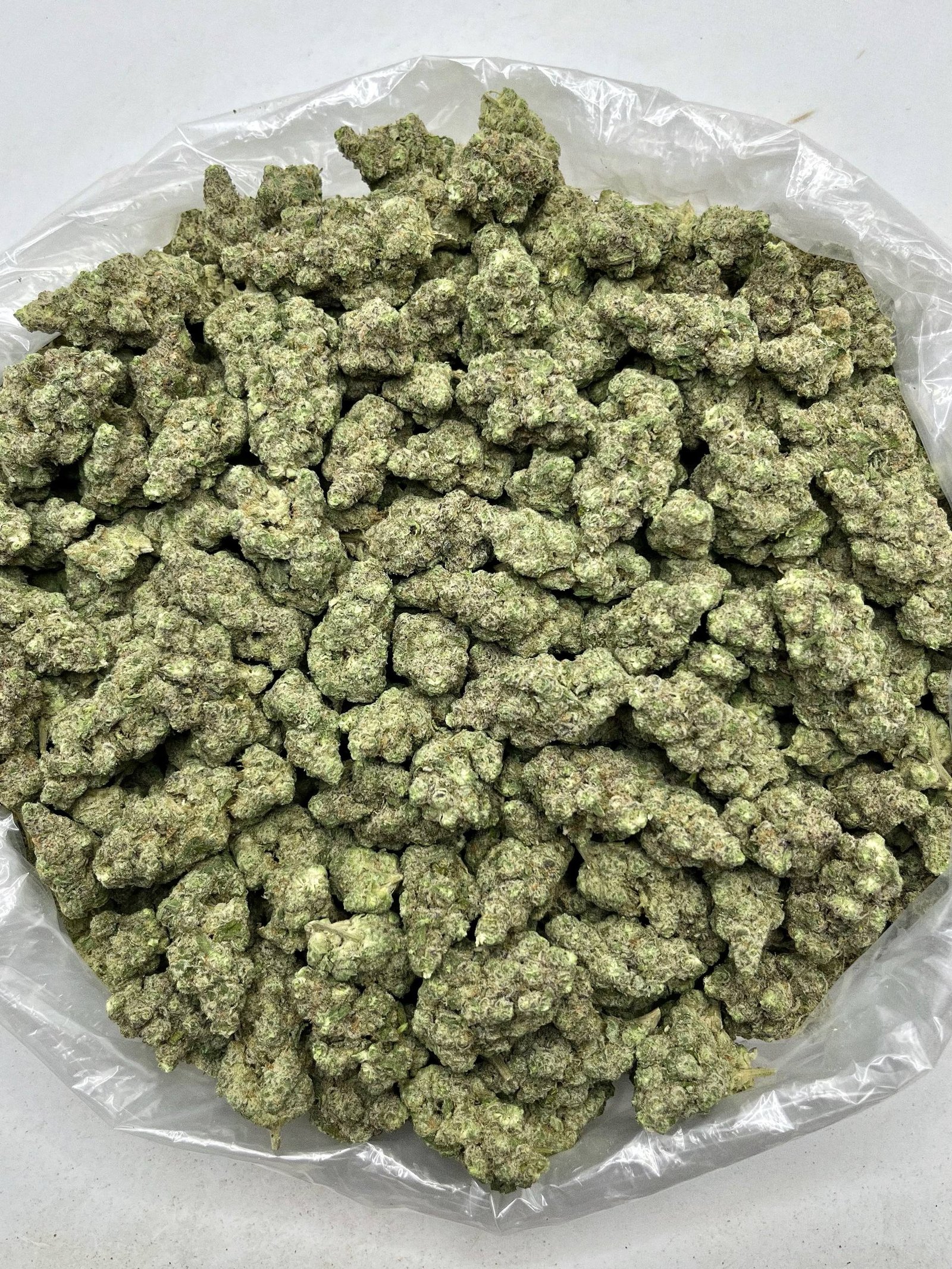 Premium indoor-grown Gush Mintz THCa buds packaged for discreet bulk shipping and resale.