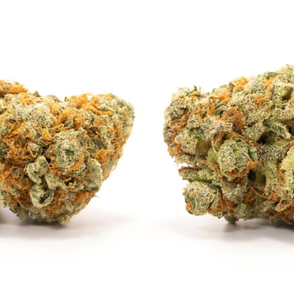 Cannatonic - Image 3