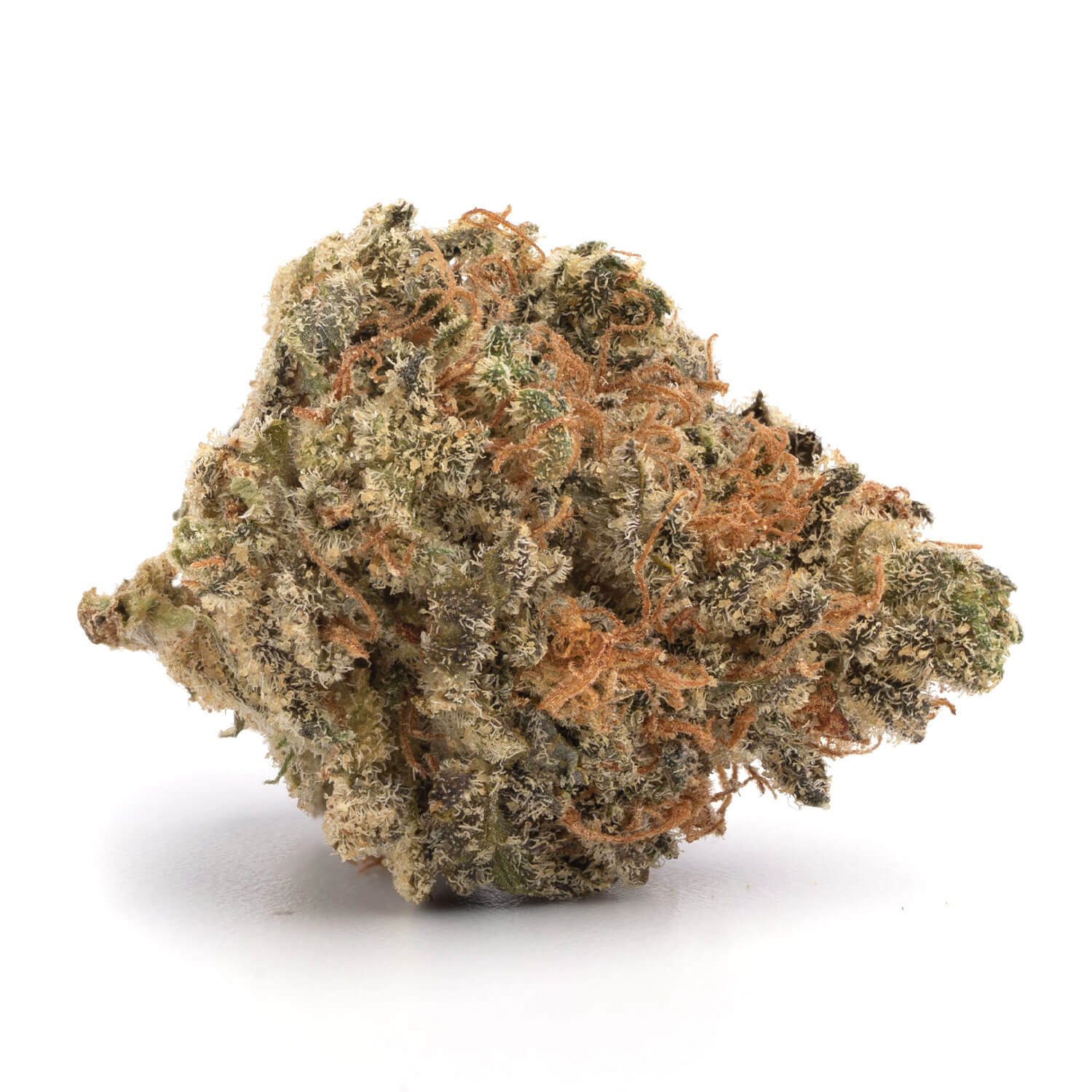 Alien Dawg - Image 2