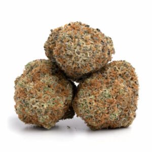 Hindu Kush