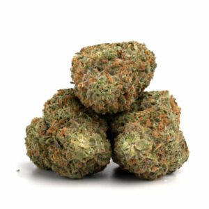 Kosher Kush -cannabis-buds-with-rich-green-and-dark-purple-tones-covered-in-crystals