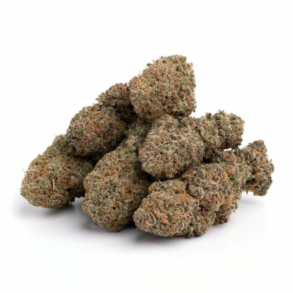 Wifi OG - Image 2