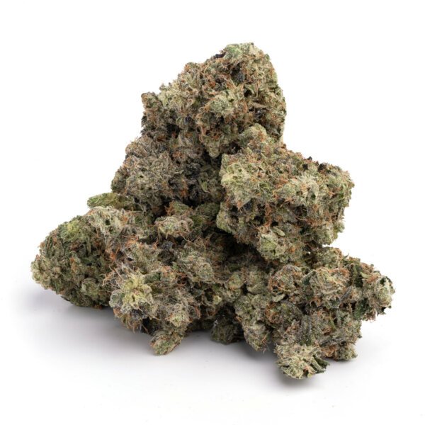 MK Ultra - Image 3