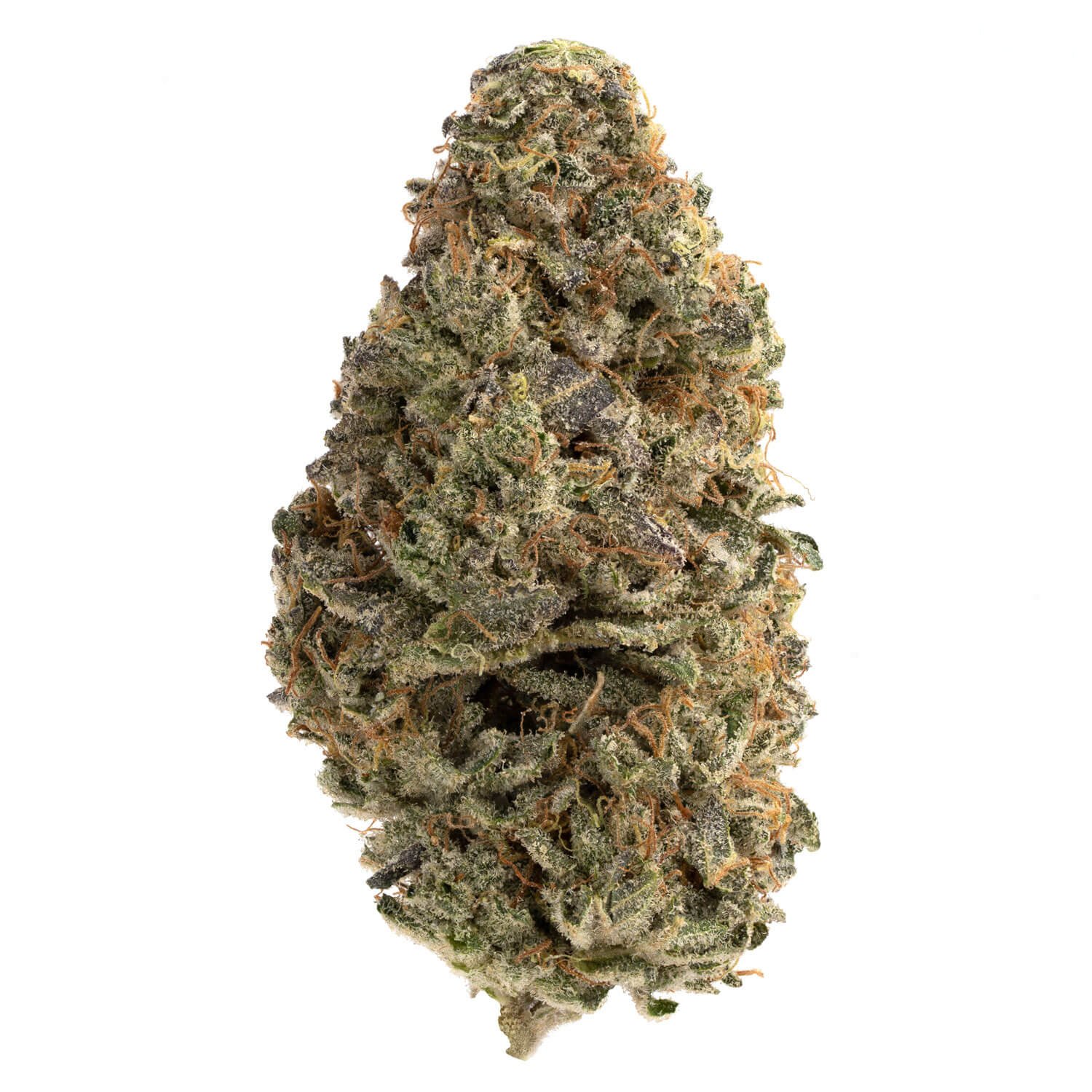 Pink Champagne - Image 3