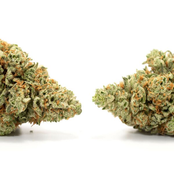 Blueberry Kush