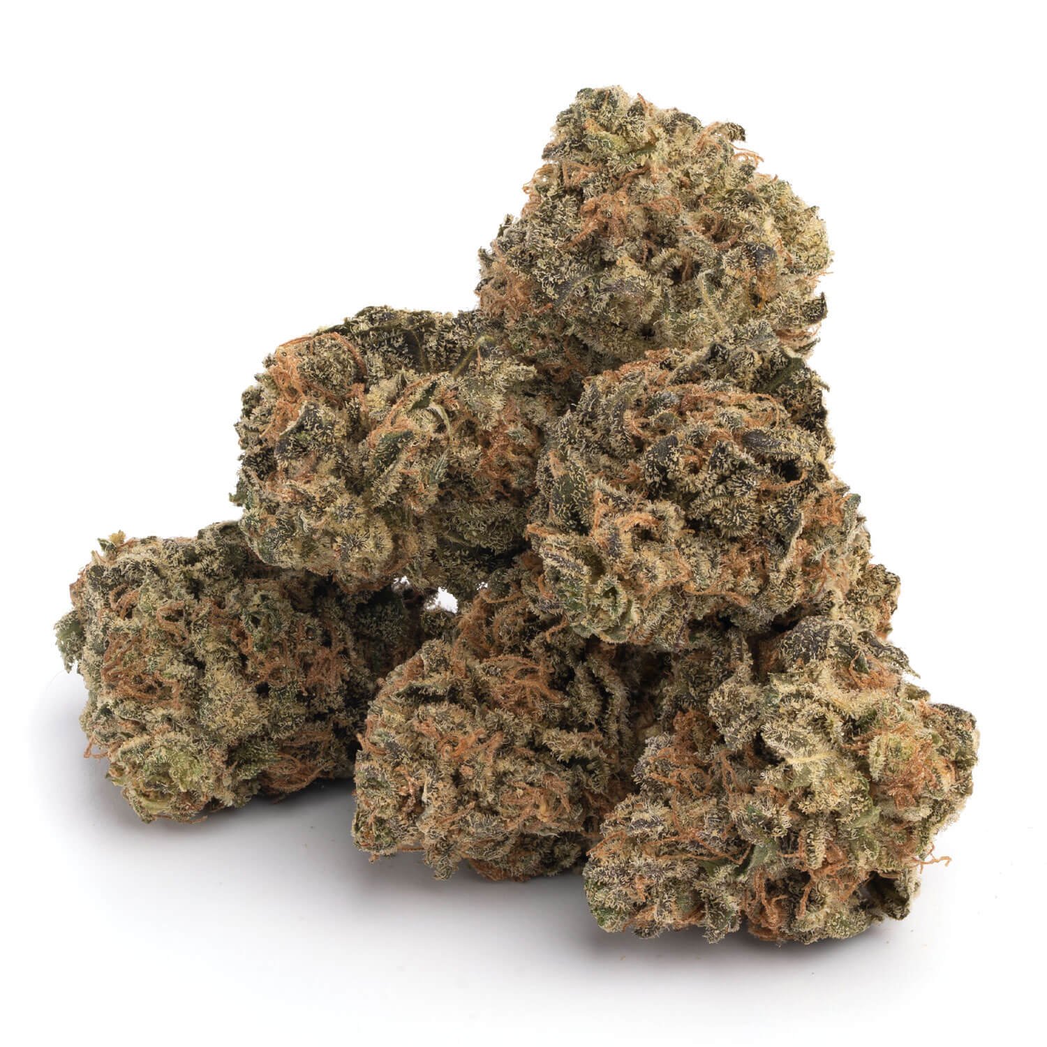 Alien Dawg - Image 3