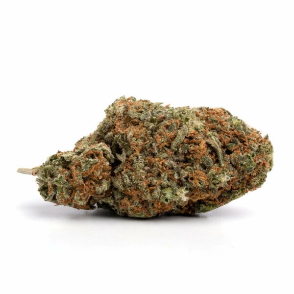 California Orange - Image 2