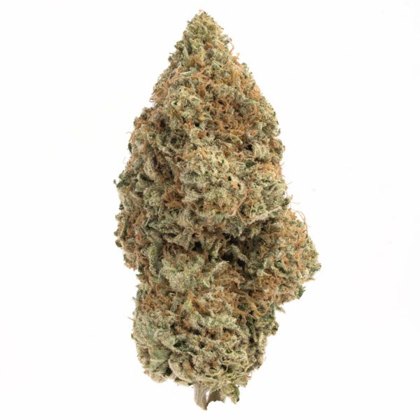 Slurricane - Image 3