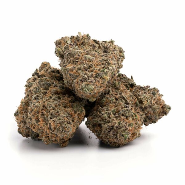 Wifi OG