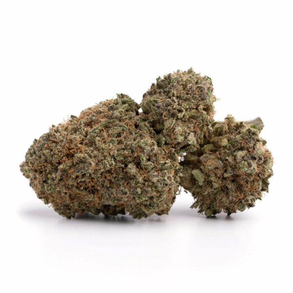 Wifi OG - Image 3