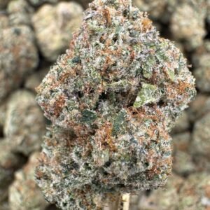 Bacio Gelato – Bulk THCA Flower (Indoor Pounds)