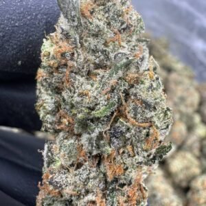 Black Amber – Bulk THCA Flower (Indoor Pounds)