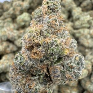 Blackberry Super Boof – Bulk THCA Flower (Indoor Pounds)