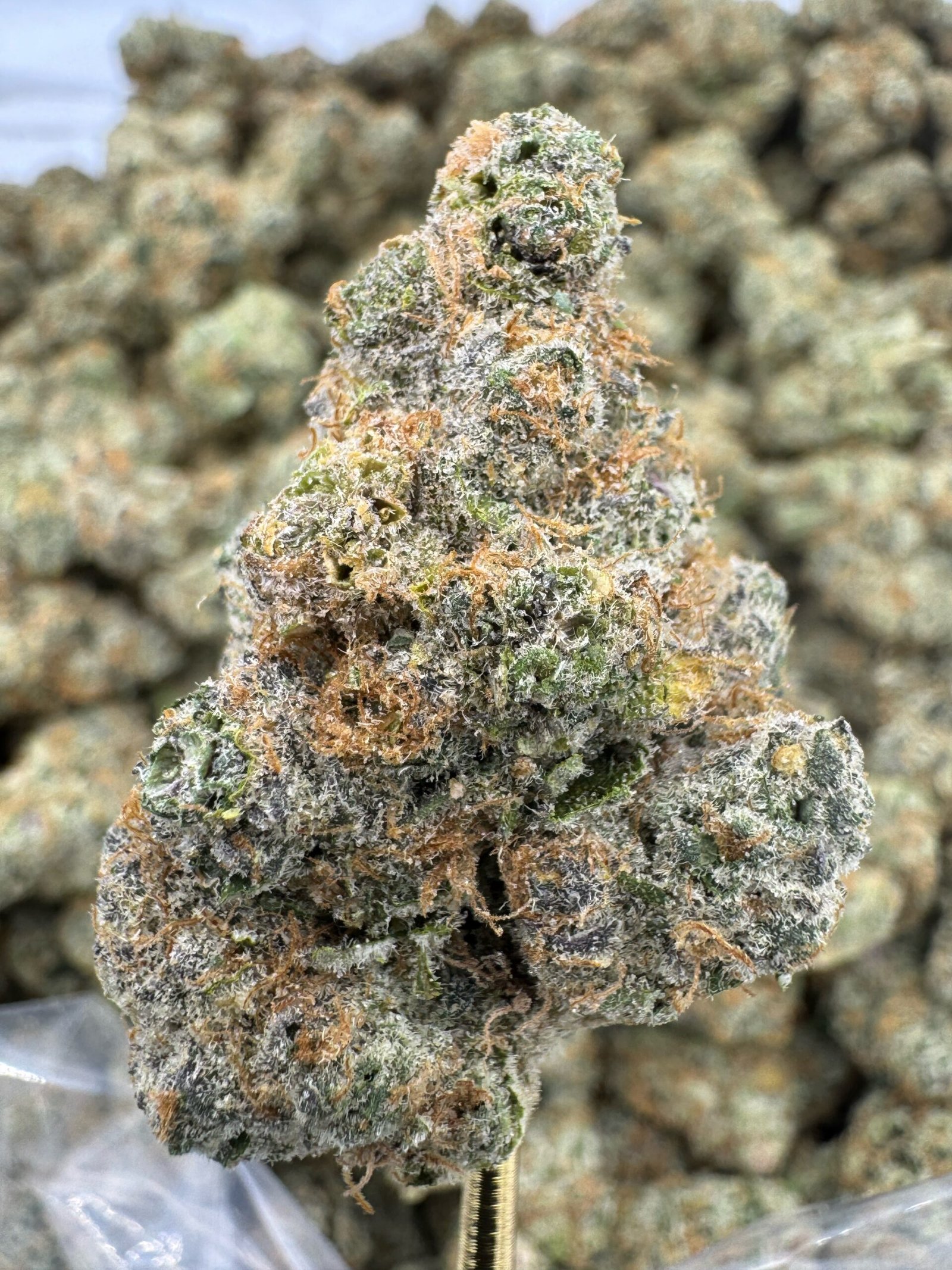 Blackberry Super Boof – Bulk THCA Flower (Indoor Pounds)