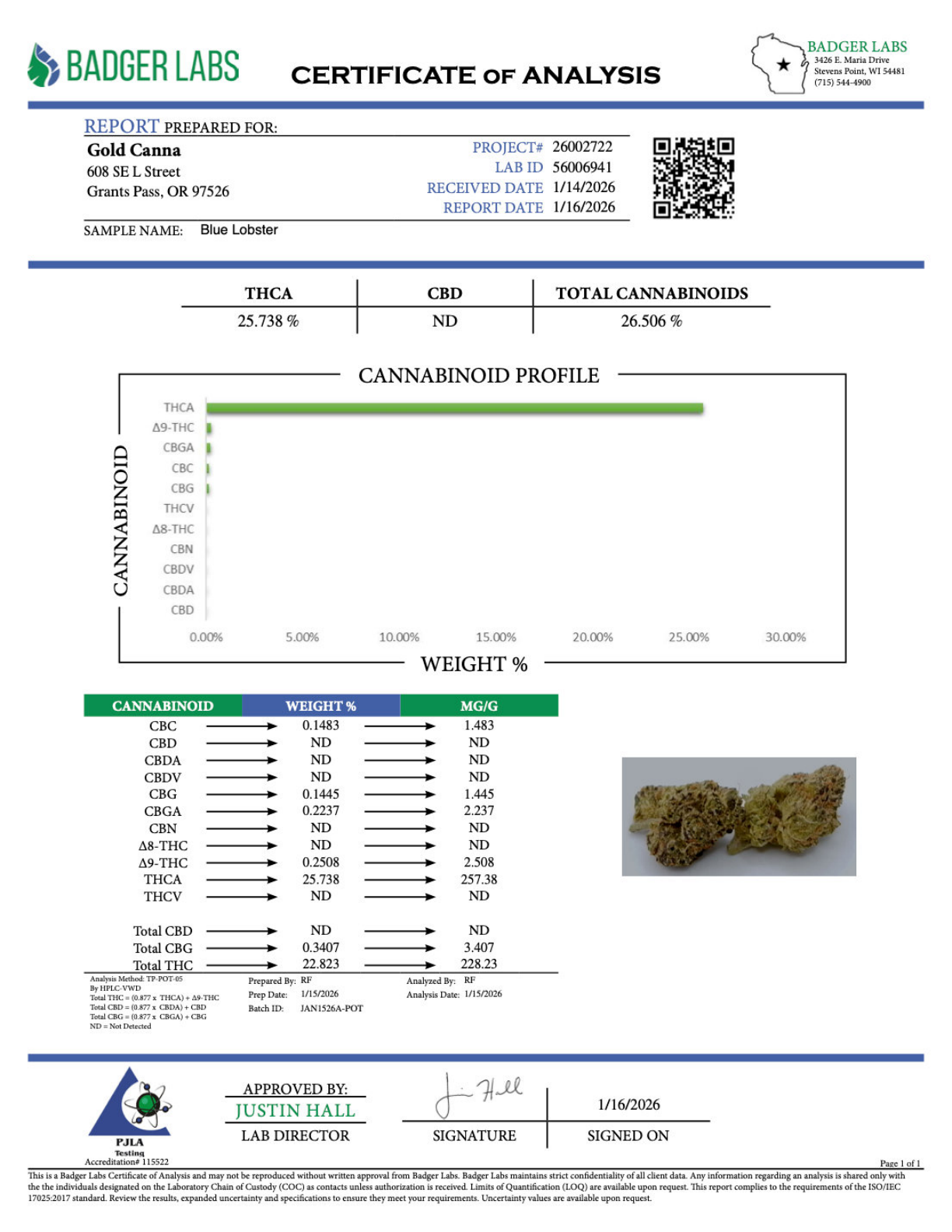 Blue Lobster – Bulk THCA Flower (Greenhouse Pounds) - Image 2