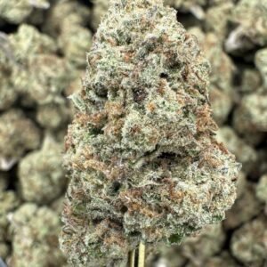 Blueberry Muffin – Bulk THCA Flower (Indoor Pounds)