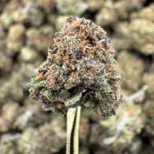 Cake Berry – Bulk CBD Flower (Sungrown Pounds)