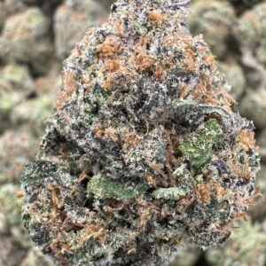 Cherry Pie Runtz – Bulk THCA Flower (Indoor Pounds)