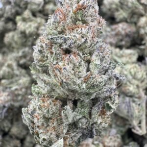 Double Stuffed – Bulk THCA Flower (Indoor Pounds)
