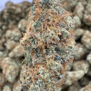 Garlic Juice – Bulk THCA Flower (Indoor Pounds)