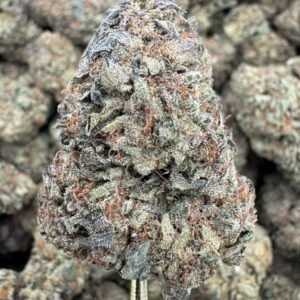 Gelato King – Bulk THCA Flower (Greenhouse Pounds)