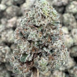 Gluttony – Bulk THCA Flower (Indoor Pounds)