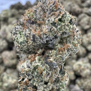 Gushers – Bulk THCA Flower (Indoor Pounds)
