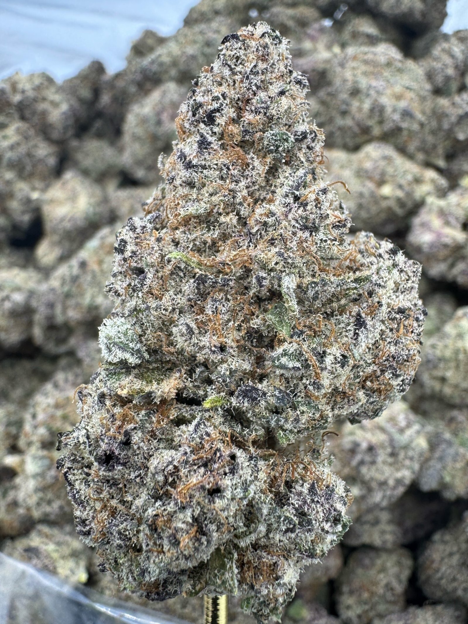 Jelly Donut – Bulk THCA Flower (Indoor Pounds)