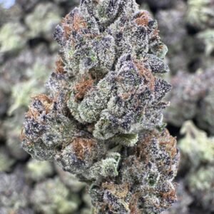 Wedding Cake – Bulk THCA Flower (Indoor Pounds)