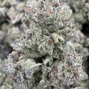 Zonuts – Bulk THCA Flower (Greenhouse Pounds)