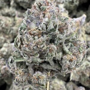 Blue Lobster – Bulk THCA Flower (Greenhouse Pounds)