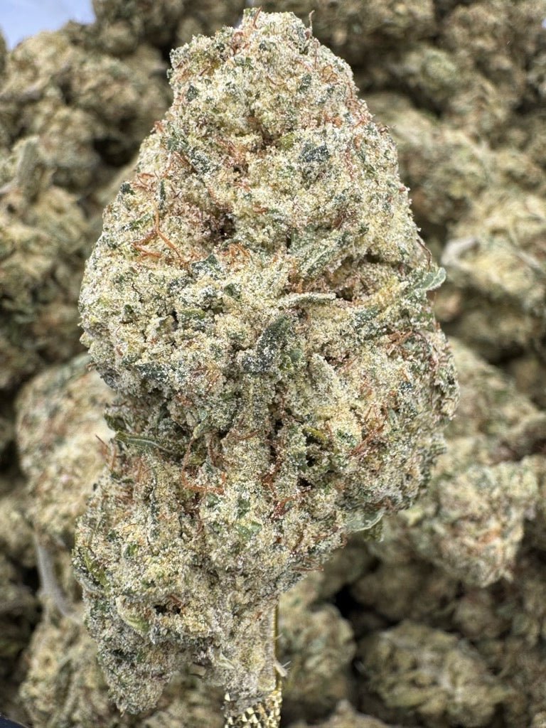King Louie OG – Bulk THCP Flower (Greenhouse Pounds)