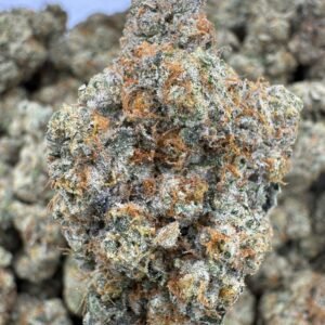 La Kush Cake – Bulk THCA Flower (Indoor Pounds)